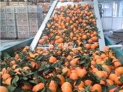 鮮尚食品加工廠(chǎng)